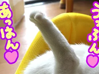 アナタの知らないキャッシュレス社会の伝説…