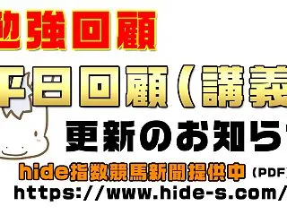 勉強回顧「菊花賞特集」を更新しました