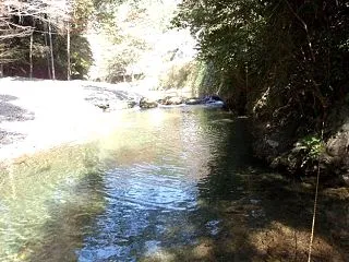 養沢(今年55回目)に行ってきました・・…