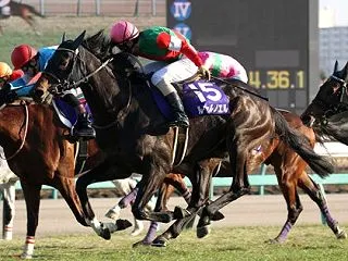 投票ソフトにお任せ10/17(土)18(…