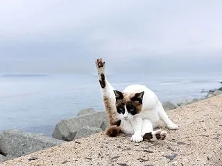 はーい。