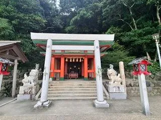 スターオブベツレヘムと似ているけれど・・…