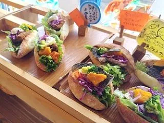 西伊豆大瀬崎～1,473-1,475本目…