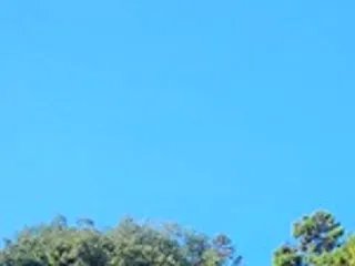 今日の万歩計