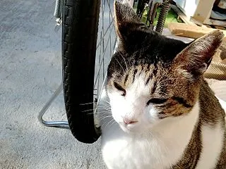 土曜日通所の一休が合うのかな❔