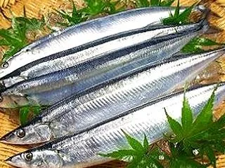 サンマの美味しい食べ方