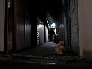 どうしようもない私の戯言 どうしたら毎日…