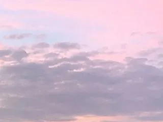 ピンクの
