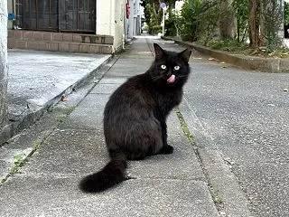 本日のベストスリー１０月１８日