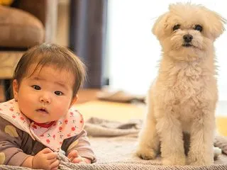 赤ちゃんの頭の形と向き癖が気になる…寝か…