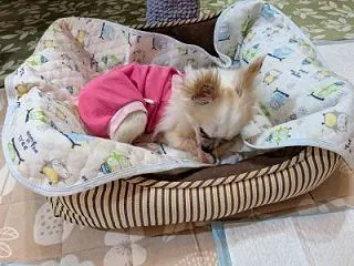 がんばった！ちーたん♪そして卒オフ打ち合…