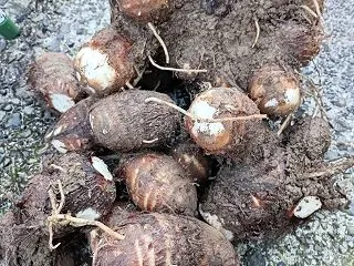 散歩の途中で