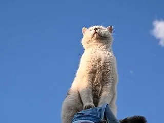 ワンネスとは、すべてのつながり｜今を大切…