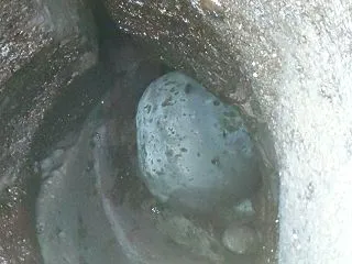 掃除
