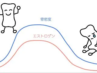 骨密度を気にしていたけれど…更年期以降も…