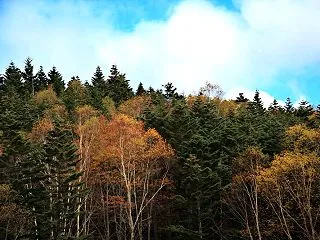 片品村 日光白根山 天空の庭園散歩 その…