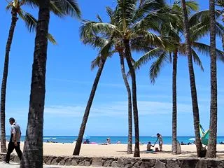 Hawaii 2026 ⑦ ハワイのレン…