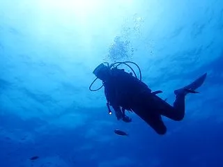 【愛知から日帰り送迎付きツアー報告】20…