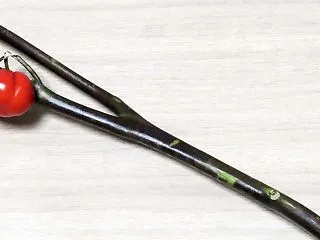 セコく使おう