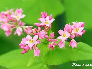 赤と白と