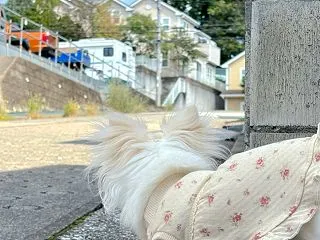 まだかなあ