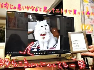 遺影の写真…シュリと一生喋れるシュリがこ…