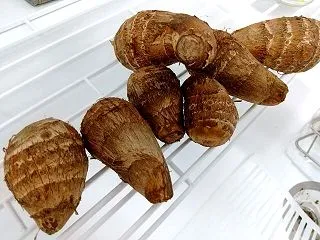 芋煮チャレンジ