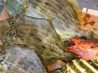 中３息子、テスト終わりの週末