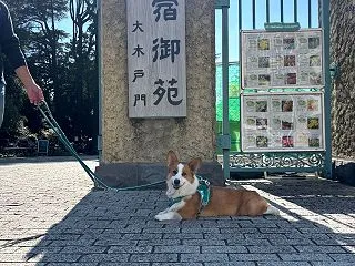 ホコ天のあとは