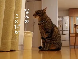カーテンの向こう側。