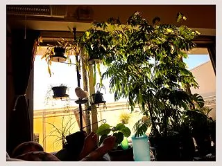 独り言