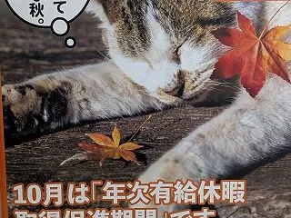 筋書きがあってもなくても、そこにはドラマ…