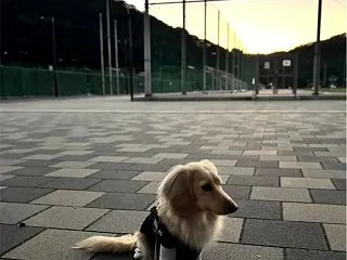 アエナイワン