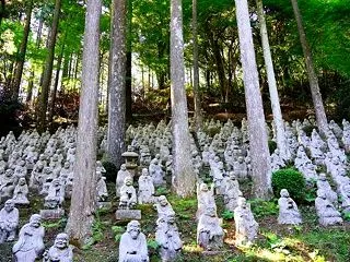 2026/10/19 朝日記 雷山千如寺…