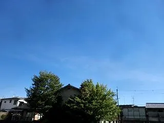 10/18（日）の襲撃！！
