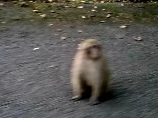 自分や周りをほめてみよう♪