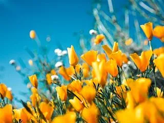 売春という言葉がありますが、売夏、売秋、…