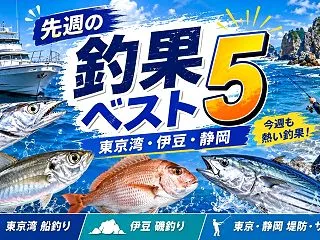 【10/12～10/18】先週の釣果ベス…
