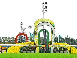 【菊花賞2026予想】出走馬情報・コース…
