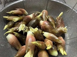 農家から「みょうが」をいただいたので男料…