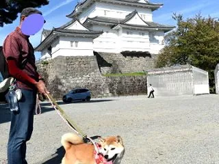 ど～こだ？