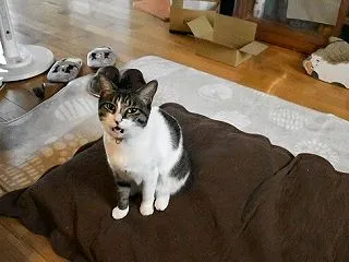 体の忙しさと、心の忙しさの違い。カタカナ…