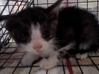 良い日になったよ