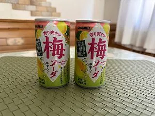 ２本買えるのはうれしい！飲みきりサイズ