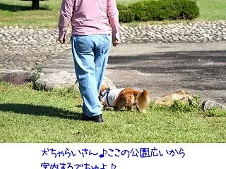 天橋立を一文字に見える公園で秋のお散歩♪