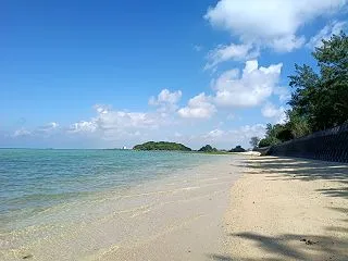 【ウミカジライナー（フリーパス）で沖縄本…