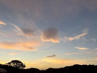 久しぶりの月曜日