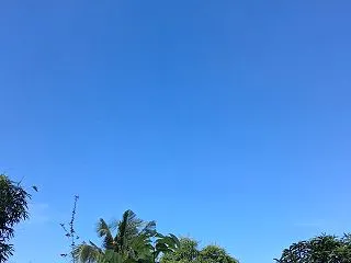おはようございます。 よく晴れています。…