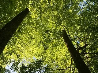 初デートから１０周年記念