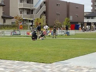 秋空に遊具上って滑り降り（ヤオコーみんな…